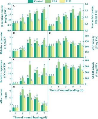 Essential role of ABA signaling and related transcription factors in phenolic acid and lignin synthesis during muskmelon wound healing